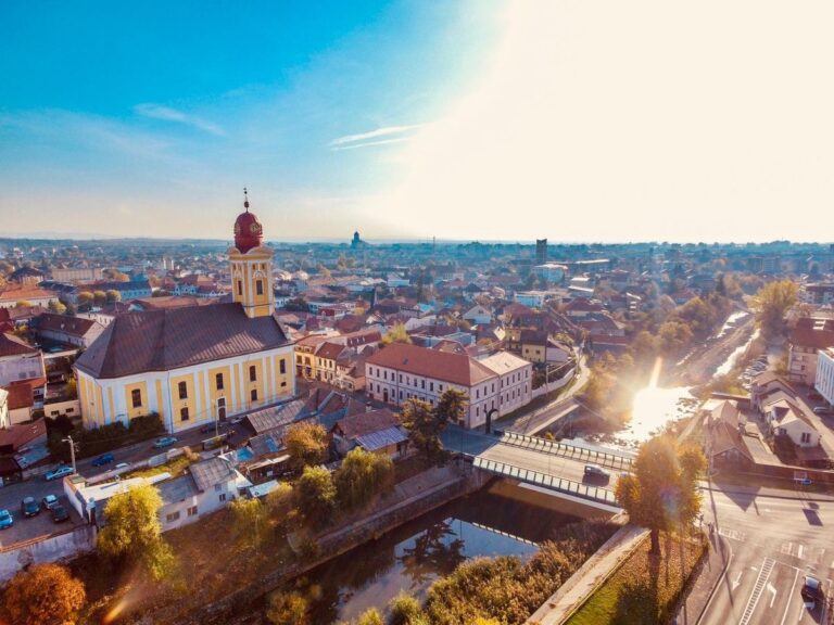 Cumpar Carti Baia Mare