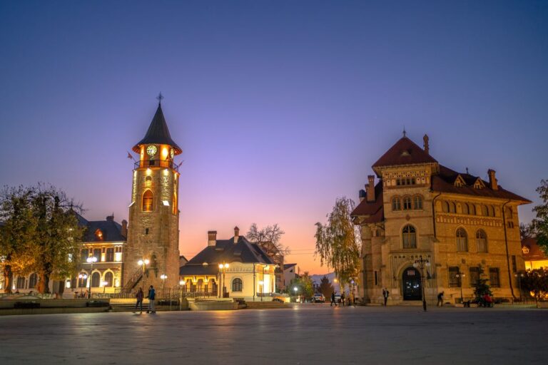 Cumpar Carti Piatra Neamţ
