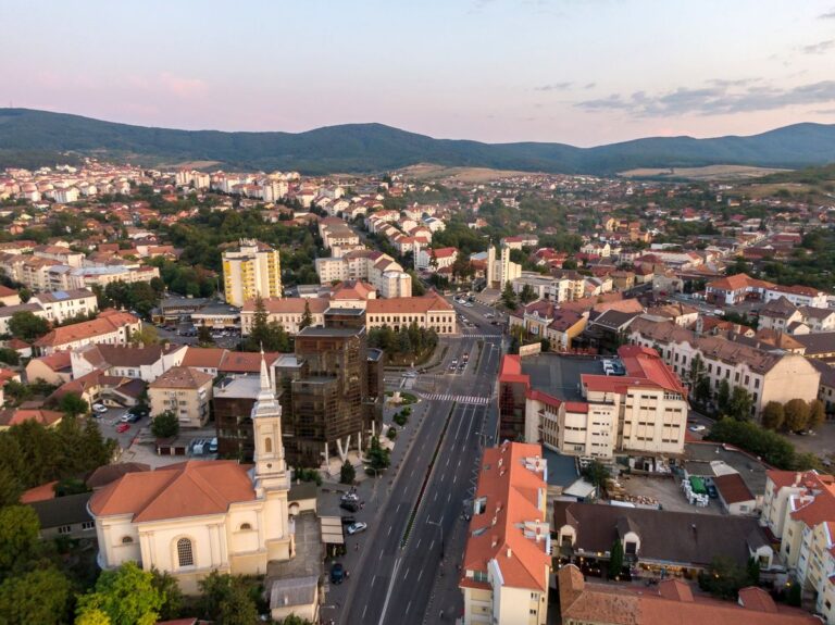 Cumpar Carti Zalău